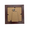 COZENTA Specimen Box Seara Case Butterfly Small Wooden (Brown Outer