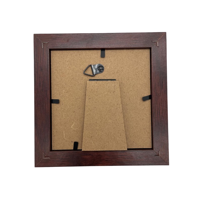COZENTA Specimen Box Seara Case Butterfly Small Wooden (Brown Outer