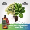 Liquid Power Lettuce Fertilizer - Premium Liquid Plant Food for