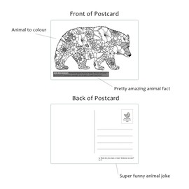 Mindfulness Colouring Postcards: Anti-Stress Art Therapy Postcard Set Drawn in Adult Colouring Book Style