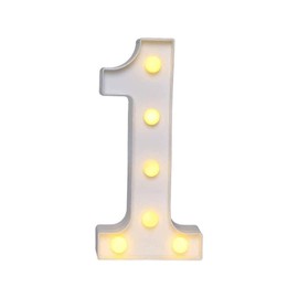 xtsfx 16th 18th 21st Bright LED Sign Ideal for Birthday Party Stand up, Wall Hang, Garden Indoor Marquee lamp Lighting Decoration Centre Piece Focal Point 16 18 21 (18)
