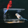 Window Bird Feeder with Strong Suction Cups – Flat-Tile Roof