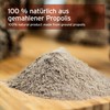 Aniforte Propolis Extract Powder 20 g Pure Bee Power Natural