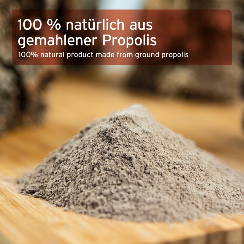 Aniforte Propolis Extract Powder 20 g Pure Bee Power Natural
