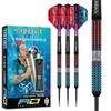 RED DRAGON Peter Snakebite Wright Spirit 23 g Premium Tungsten