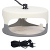 Flea Trap Good Stickiness Safe Ingredients Odorless Indoor Pest Control