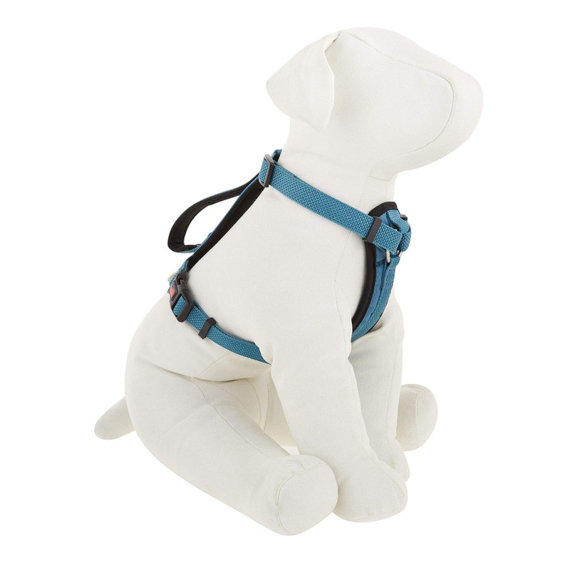 KONG Comfort Padded Harness Blue Small