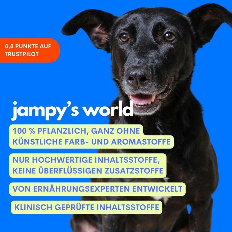 JAMPY Multivitamin Supplement for Dogs Contains Glucosamine for Bones, Biotin