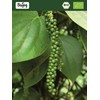 Biojoy BIO-Pfeffer schwarz gemahlen (250 g), Schwarzer Pfeffer (Piper nigrum