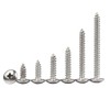 Oneyijun 20 Pcs M4 x 40mm Self Tapping Wood Screws