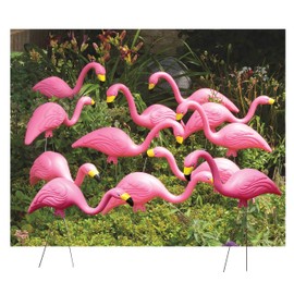 Bloem Pink Flamingo Garden Yard Statue (Bulk G2-12), 12-Pack, 25", 12 Pack