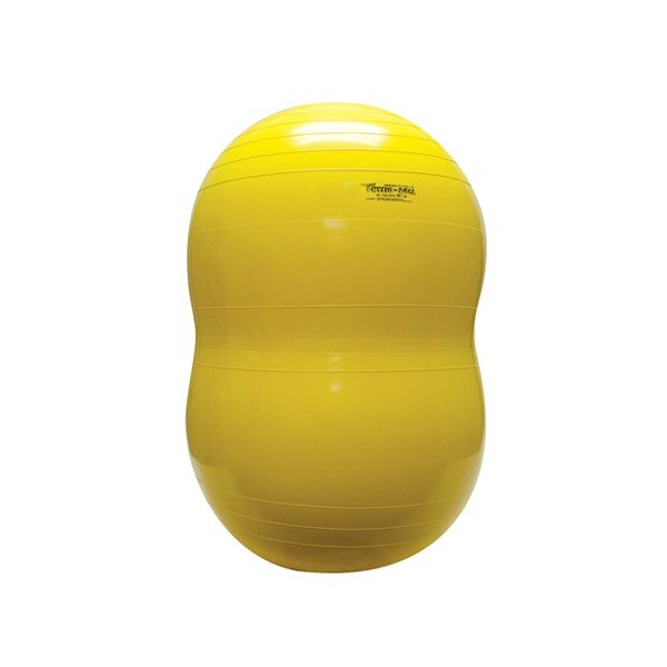 PhysioGymnic Molded Vinyl Inflatable Ball, Yellow, 18 Inch