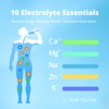 HydriPulse Electrolytes Powder Packets - Sugar Free, Naturally Flavored, 10