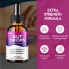 Vitaluxa (5 Pack) Gut Drops Premium Liquid Drop Supplement for