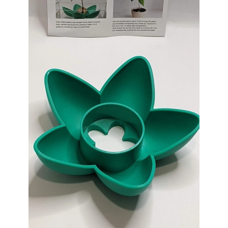 AvoSeedo Avocado Tree Growing Kit with seed pod base and