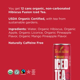 Hibiscus Fusion Organic Iced Tea Canned Still Cold Brewed Tea | Pack of 12…
