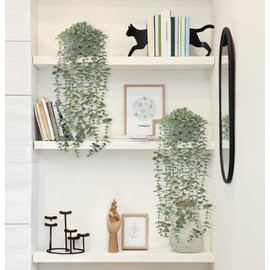 Mkono 2 Packs Fake Hanging Plants in Farmhouse Galvanized Pots Rustic Faux Potted Eucalyptus Greenery Indoor Artificial Plants for Book Shelf Mantel Living Room Bathroom Bedroom Home Office Decor
