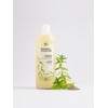 Shampoo Indush Clay Verbena 1L (Shampoo & Shower Gel) /