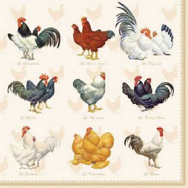 20 Napkins Chicken Species Table Decoration Decoupage Decoupage 33 x 33 cm