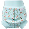 Splash About Baby Happy Duo Toddler Swim Nappy, Playful Otters,