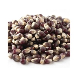 Amish Country Blue Bulk Popcorn 10 Pounds Popcorn Kernels Free Shipping