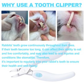 Nevixtal Rabbit Teeth Cutter,Premium Stainless Steel Bunny Tooth Nipper Teeth,5.3inch Tooth Cutter Scissor Sharp and Fast, Safe for Rabbits,for Guinea Pig Chinchilla Bunny Other Small Animals.(Blue)