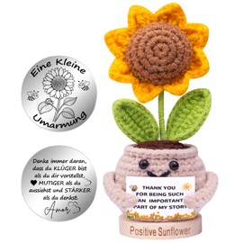 Mwmoeen Funny Pocket Hug Positive Sunflower, Creative Pocket Hug Positive Potato and Small Hug Lucky Charm (Silver), Special Wooden Base, Best Friend Gift for Women
