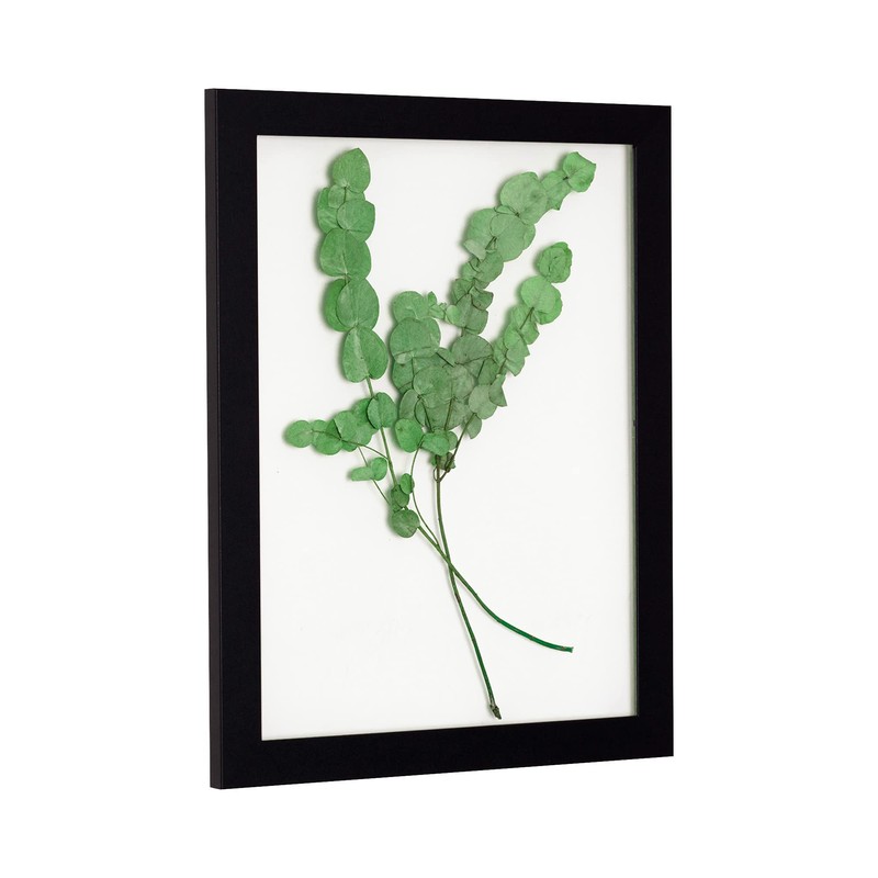 Rahmendesign24 Milano Double Glass Frame 21 x 29.7 (DIN A4)
