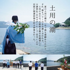 Purifying Salt, 2.9 oz (808 g), 3 Bags, Total 5.2 lbs (2.4 kg), Oyoke Shrine, Salt for Evil Protection, Purifying Salt, Purifying Salt, Oshiyome, Salt, Amulet Salt, Exorcission, Power Spot, Ohara,