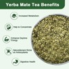 Organic Soursop Leaf Tea Bags | Annona Muricata Herbal Tea