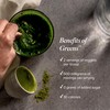 Isagenix Moringa Greens - Green Drink Powder with Antioxidants &
