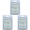 Black Coral & Moss Wax Melts (Pack of 3) |