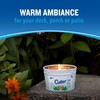 Cutter Candle, Outdoor Soy Wax Candle Made with Real Citronella