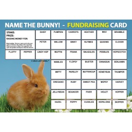 Lazy Snail 'Name the Bunny' Fundraising Cards - Pack of 8 Cards - 45 Squares and Fun Golden Winner Envelopes to Raise Money for Charity - Full Colour Fund Raising Cards (8 Cards) (A5)