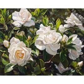 Gardenia bush with fragrant blooms oil painting --ar 54 a017f2cd-2d99-