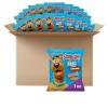 Kellogg's SCOOBY DOO Cinnamon Baked Graham Cracker Snacks 40 Pack