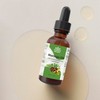 Relaxcation Moringa Oil – Cold Pressed from Moringa Oleifera Seeds,