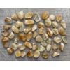 WHOLESALE Citrine Tumbled Stones, Polished Citrine Gemstone, Citrine Healing Crystals