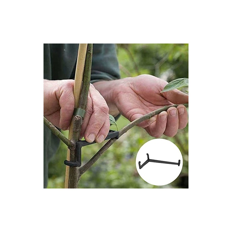 Branch Spreaders, Pack of 20 Fruit Branch Spreaders, Pressure-Resistant Plastic