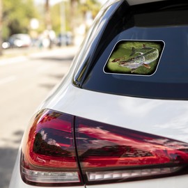 Pike Sticker Musky Sticker Fishing Sticker - Freshwater Wildlife Car Bumper Vinyl Fish Sticker Decal for Vehicles Boats Laptops Windows Skateboards and Luggage Stickers for Men and Women 5"X4" sr39