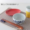 Hasamiyaki CtoC Japan Storage Pack, Small Bowl, Abbey, Diameter 4.9