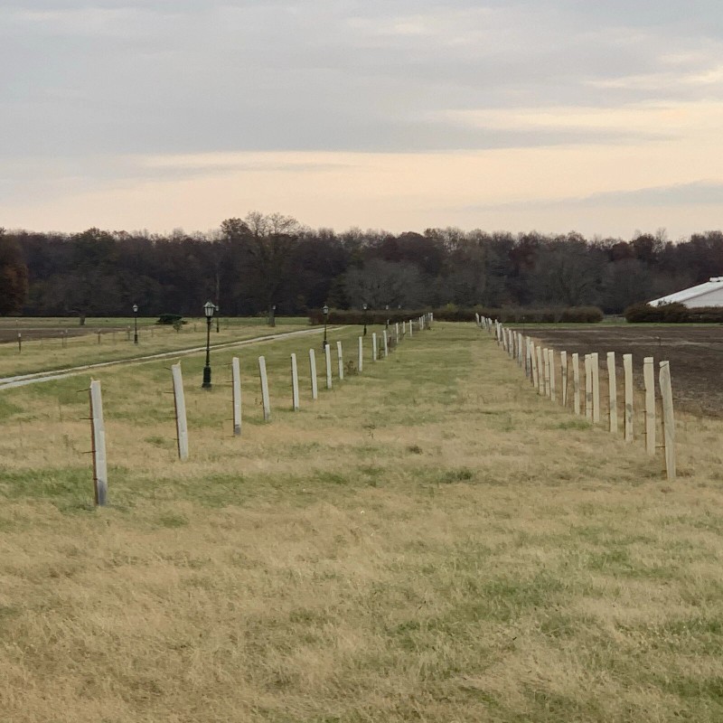 Tree Pro 5 USA Made 60" MIRACLE TUBE TREE PRO