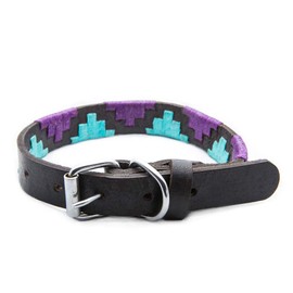 Gaucho Goods Soft Leather Dog Collar - Miami (M)