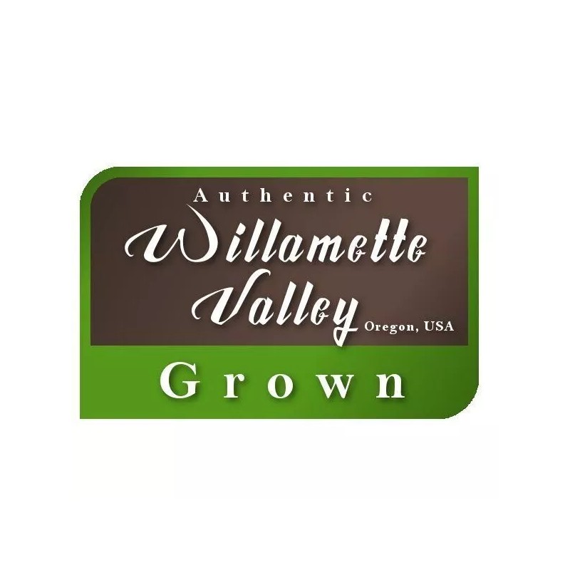 Eretz Contractor’s Grass Seed Blend by Eretz - CHOOSE SIZE!