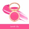 Glow Milk Cream Blush