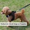 PINA Dog Harness for Small Dogs No Pull, Small Dog