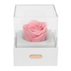 Rose Night Light Romantic Small USB Charging Soft Brightness Decoration