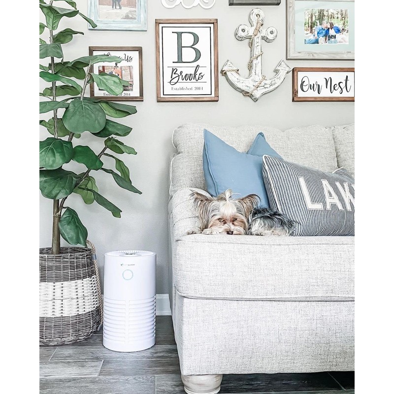 GermGuardian Air Purifier for Home 360° HEPA Filter, for Wildfire