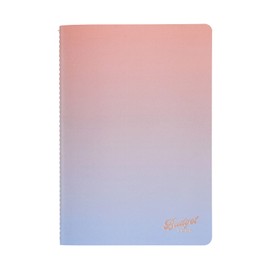 Erin Condren 12 Month Budget Book Petite Planner - Colorblends. Goal Trackers, Expense and Savings Logs, Debt Tracker, Weekly and Monthly Spending Spreads