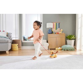 Fisher-Price Lil' Snoopy, pull-along toy dog for walking infants and toddlers ages 12 months and older